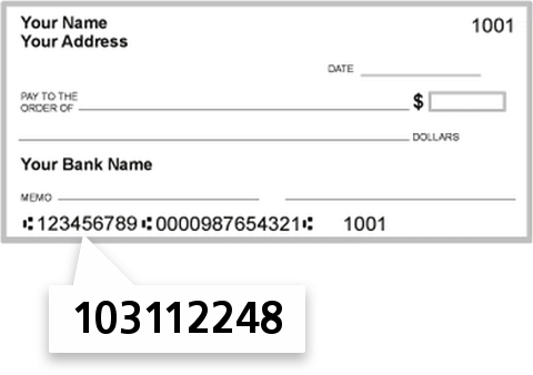 103112248 routing number on American Exchange Bank check