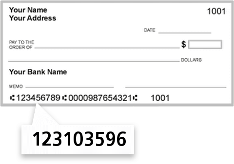 123103596 routing number on Twin River Bank check